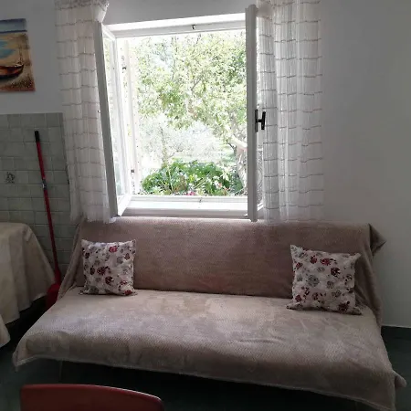 Sandra New Translation