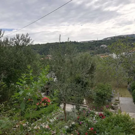 Sandra * New Translation