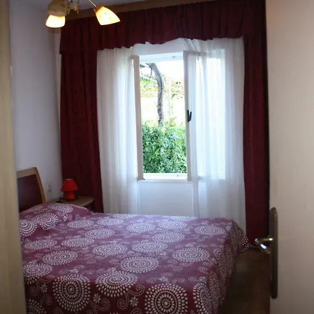 Sandra New Translation