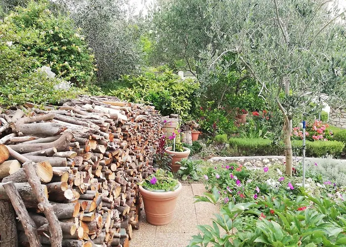 Sandra Apartamento *